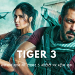 Tiger 3 OTT Release